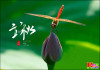 입추(立秋)