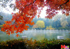 가을 호수
